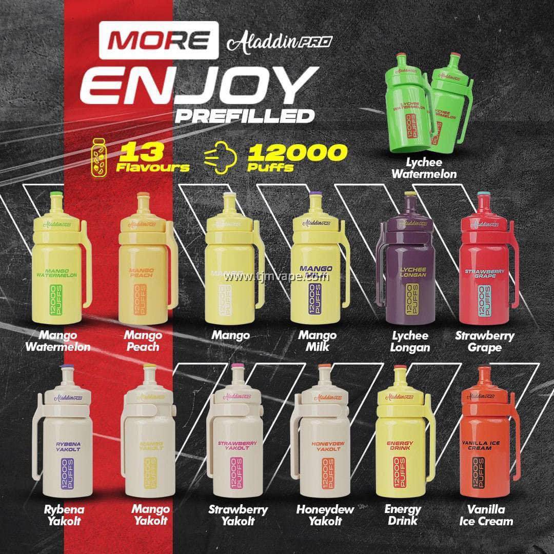 ALADDIN PRO 12000 PUFFS STARTER KIT